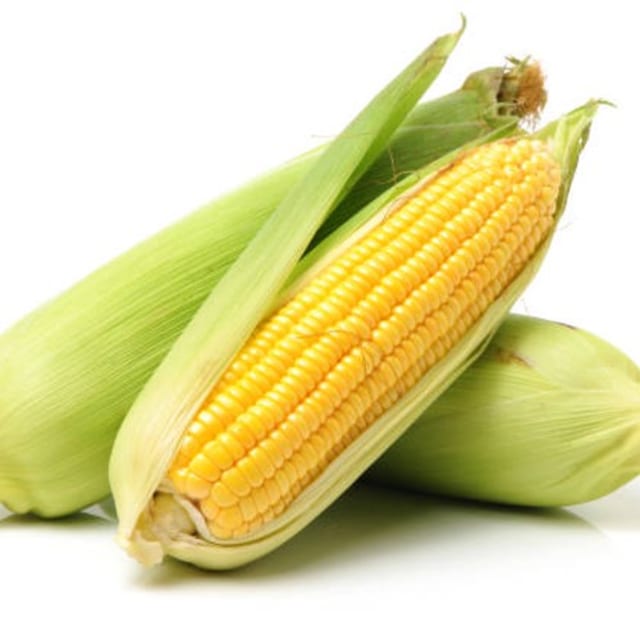 Super Sweet Corn on the Cob.